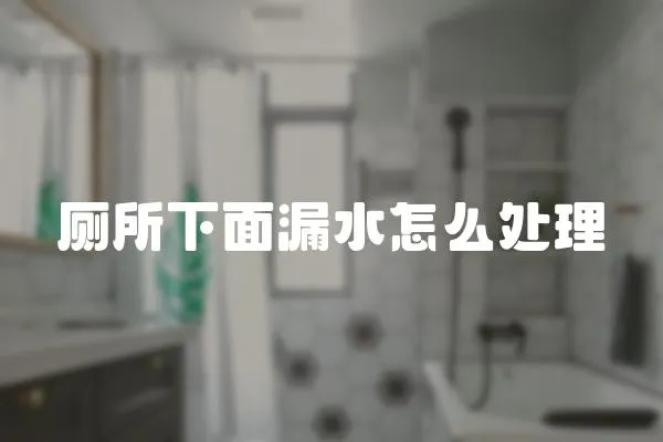廁所下面漏水怎么處理