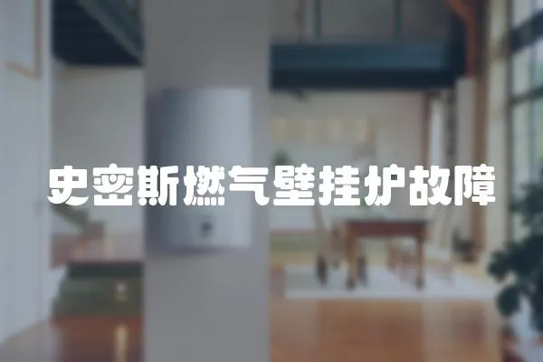 史密斯燃?xì)獗趻鞝t故障