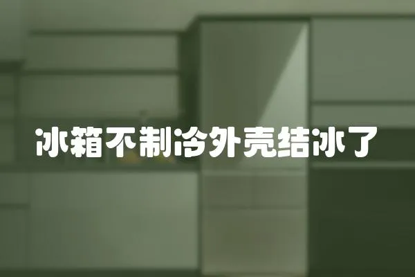 冰箱不制冷外殼結冰了