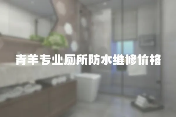 青羊专业厕所防水维修价格