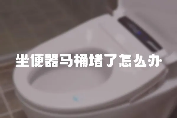 坐便器馬桶堵了怎么辦