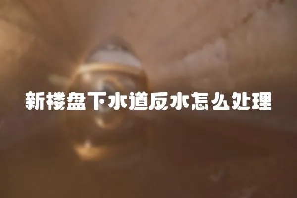 新楼盘下水道反水怎么处理