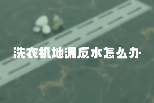 洗衣機地漏反水怎么辦