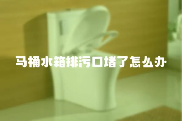馬桶水箱排污口堵了怎么辦