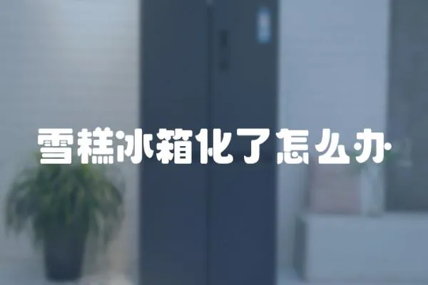 雪糕冰箱化了怎么辦