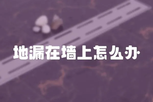 地漏在墻上怎么辦