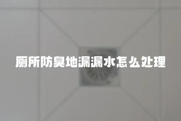 廁所防臭地漏漏水怎么處理