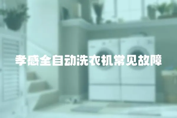 孝感全自動洗衣機常見故障