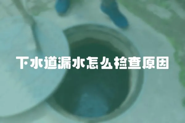 下水道漏水怎么檢查原因