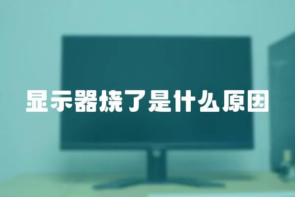 顯示器燒了是什么原因