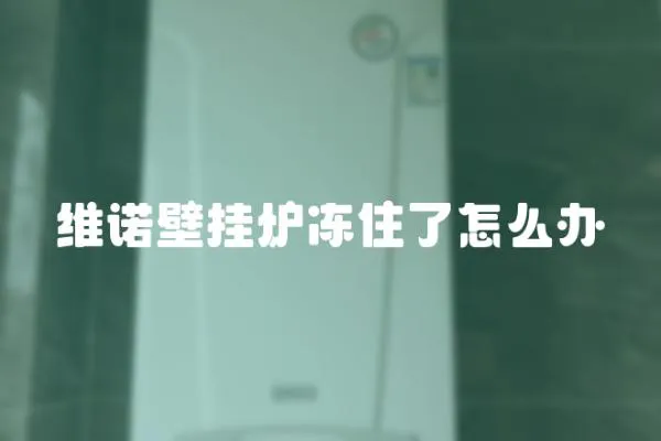 維諾壁掛爐凍住了怎么辦