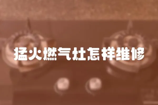 猛火燃?xì)庠钤鯓泳S修