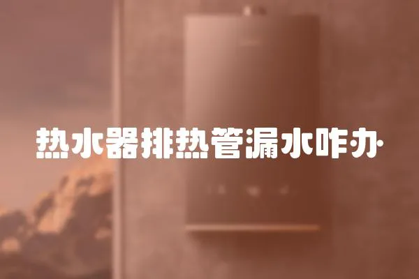 熱水器排熱管漏水咋辦