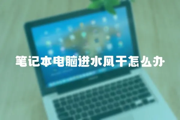 筆記本電腦進水風干怎么辦