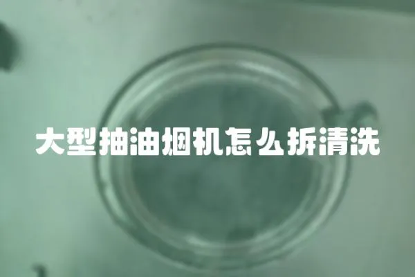 大型抽油烟机怎么拆清洗