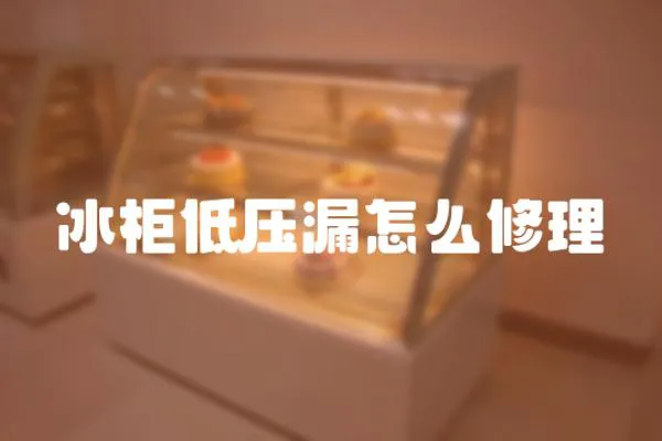 冰柜低壓漏怎么修理