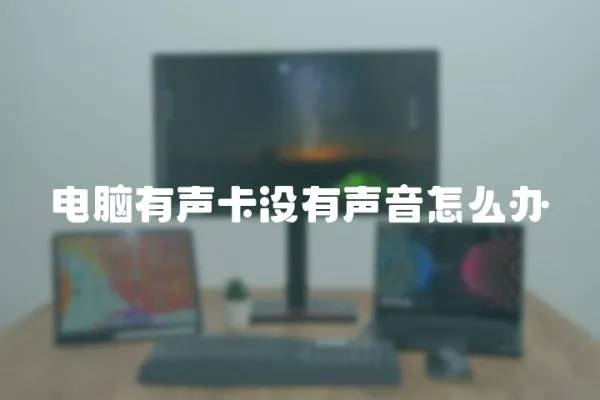 電腦有聲卡沒有聲音怎么辦