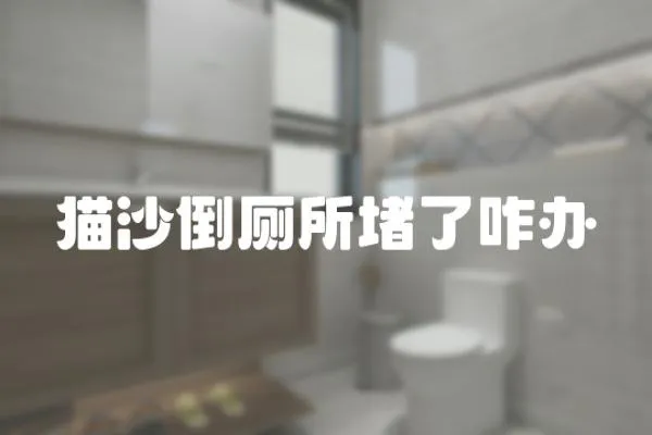 貓沙倒廁所堵了咋辦