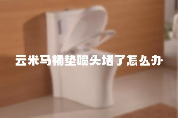 云米馬桶墊噴頭堵了怎么辦