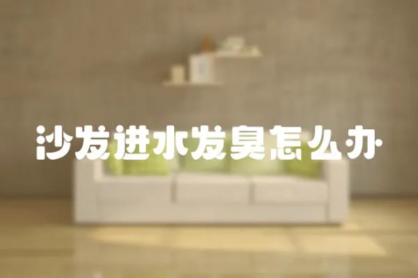 沙發進水發臭怎么辦