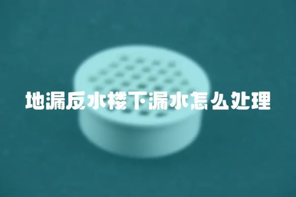地漏反水樓下漏水怎么處理