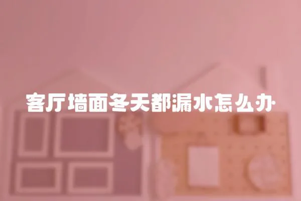 客廳墻面冬天都漏水怎么辦