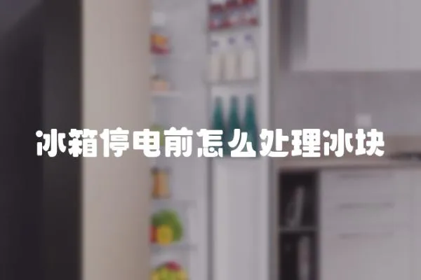 冰箱停電前怎么處理冰塊
