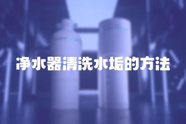 凈水器清洗水垢的方法