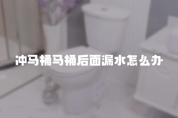 沖馬桶馬桶后面漏水怎么辦