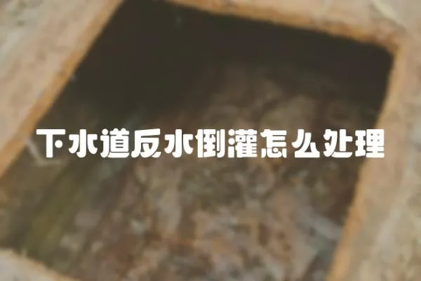下水道反水倒灌怎么處理