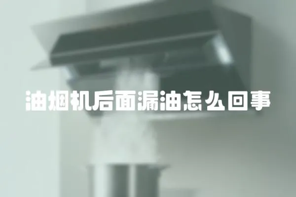 油煙機后面漏油怎么回事