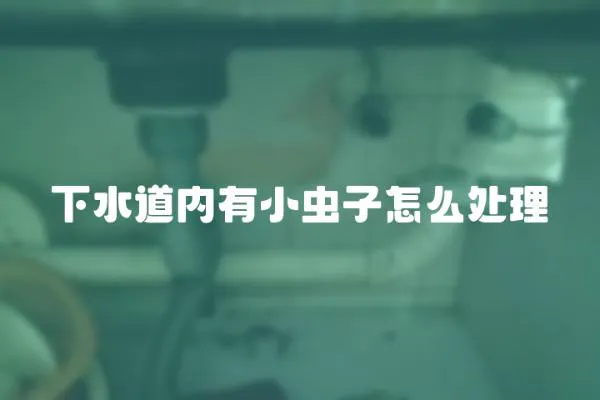 下水道內有小蟲子怎么處理