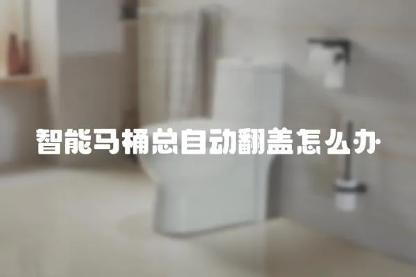 智能馬桶總自動翻蓋怎么辦