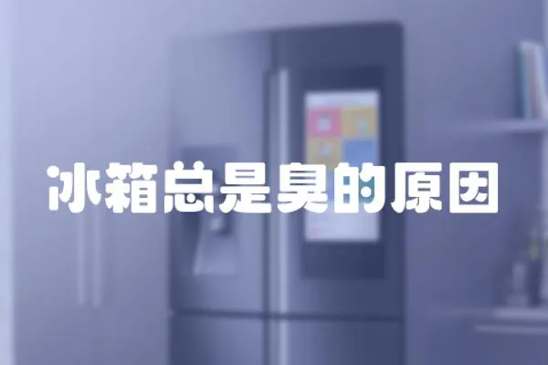 冰箱總是臭的原因