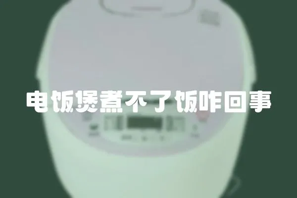 電飯煲煮不了飯咋回事