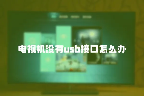 電視機(jī)沒(méi)有usb接口怎么辦