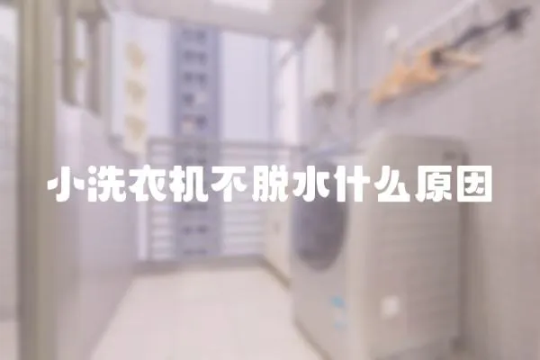 小洗衣機不脫水什么原因