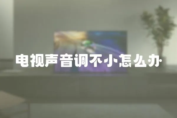 電視聲音調不小怎么辦