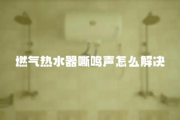 燃?xì)鉄崴魉圾Q聲怎么解決