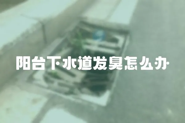 陽臺下水道發(fā)臭怎么辦