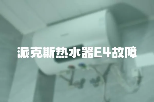 派克斯熱水器E4故障