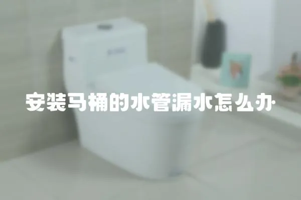 安裝馬桶的水管漏水怎么辦