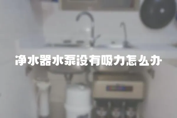 凈水器水泵沒(méi)有吸力怎么辦