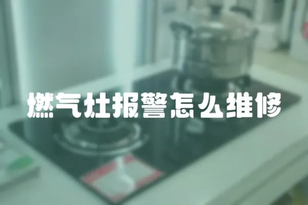 燃?xì)庠顖缶趺淳S修