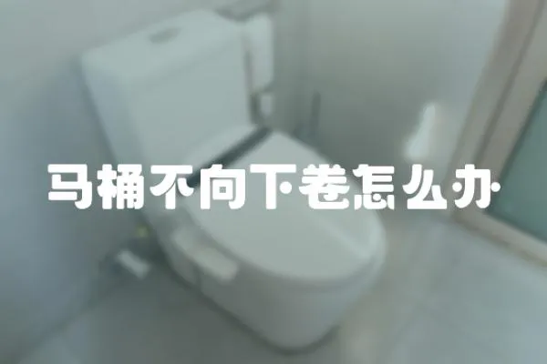 馬桶不向下卷怎么辦