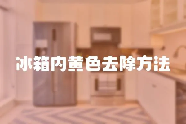 冰箱內黃色去除方法