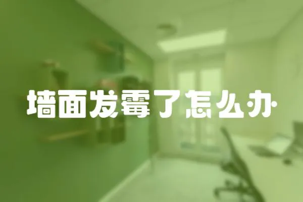 墻面發(fā)霉了怎么辦
