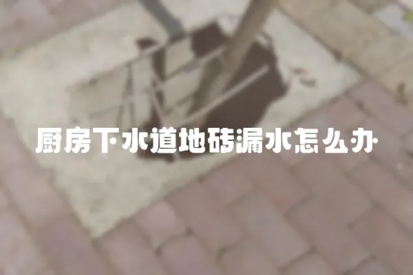廚房下水道地磚漏水怎么辦