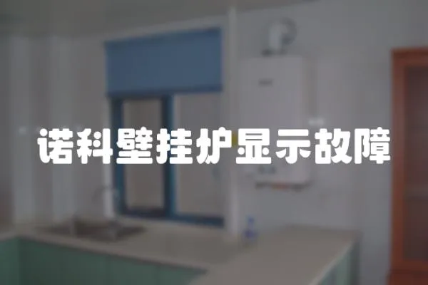 諾科壁掛爐顯示故障