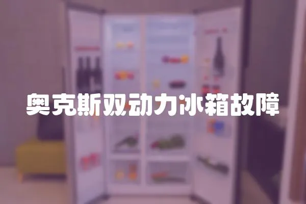 奧克斯雙動力冰箱故障